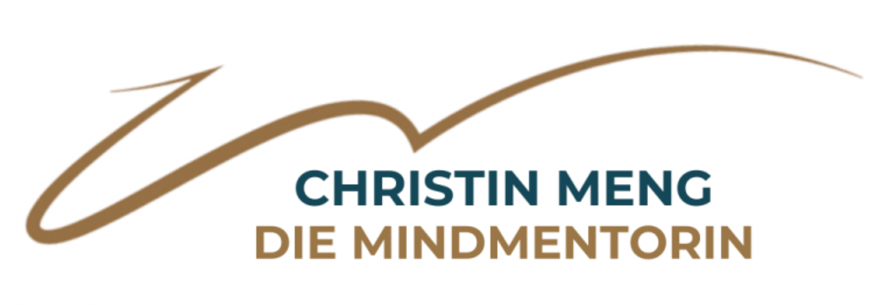 DIE MINDMENTORIN I MASTERPLAN I ONLINE-PROGRAMM